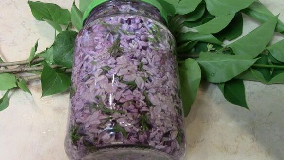 Lilac alcohol tincture for rubbing the lower back area affected by osteochondrosis. 