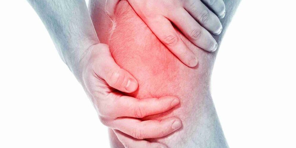The pain in a bent or straight knee is a symptom of osteoarthritis of the knee joint